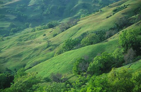 big green hills
